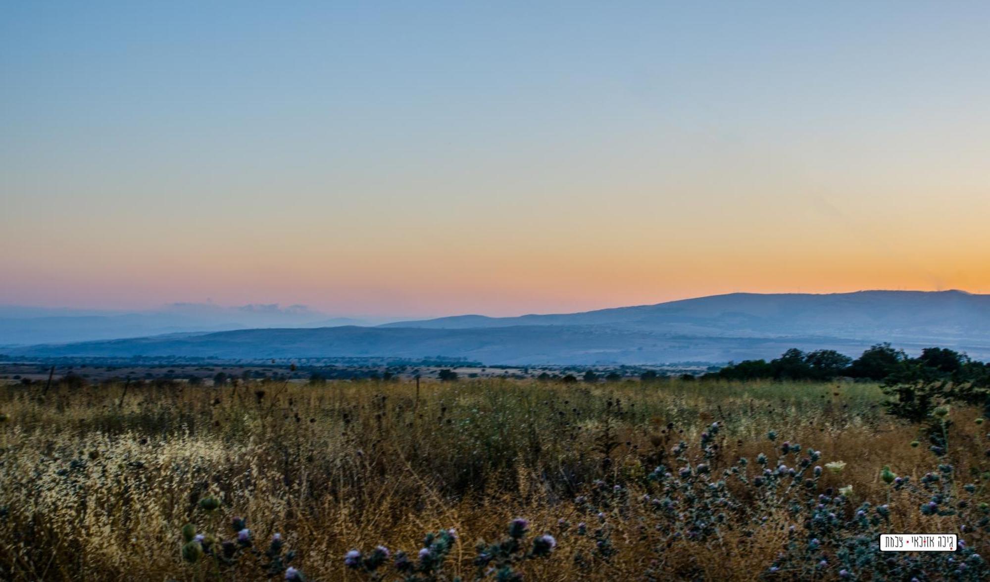 צימרים מעיין קצרין Qasrine Bagian luar foto